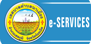 ดาวนโหลด13
